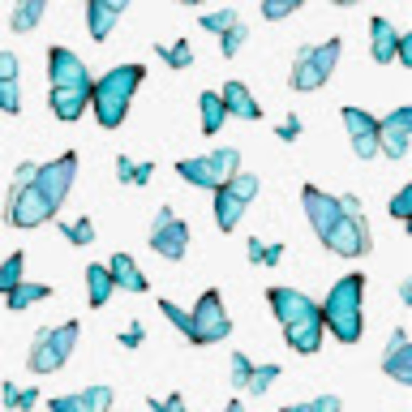 Meet your Posher, Melia - Picture 1 of 1